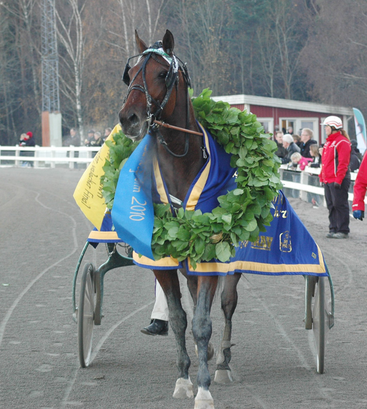 One Too Many segerdefilerar efter finalsegern i Breeders Crown. Foto; A.Lindblom